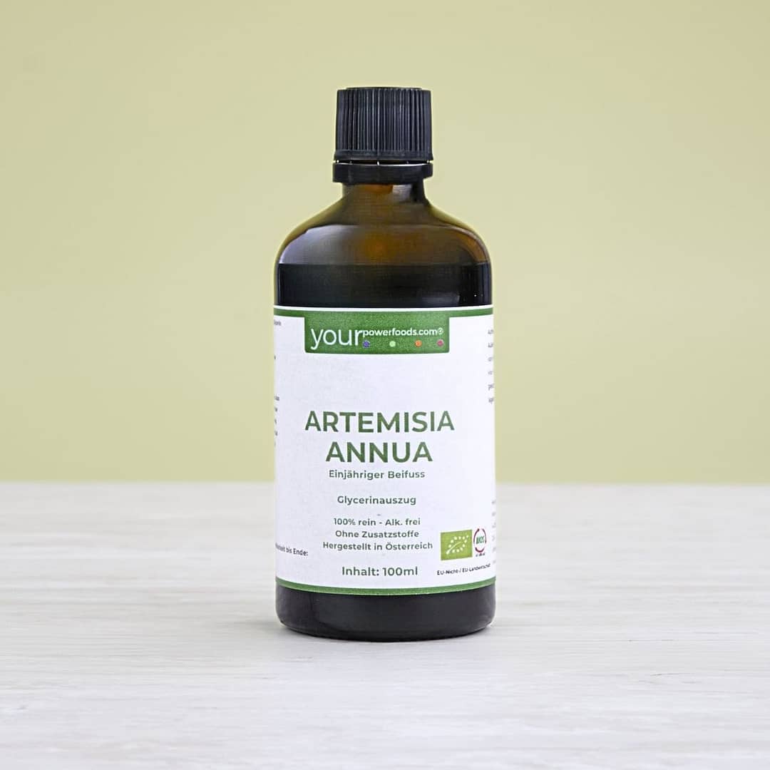 Artemisia Annua, Einjähriger Beifuss, alkoholfrei, 100ml