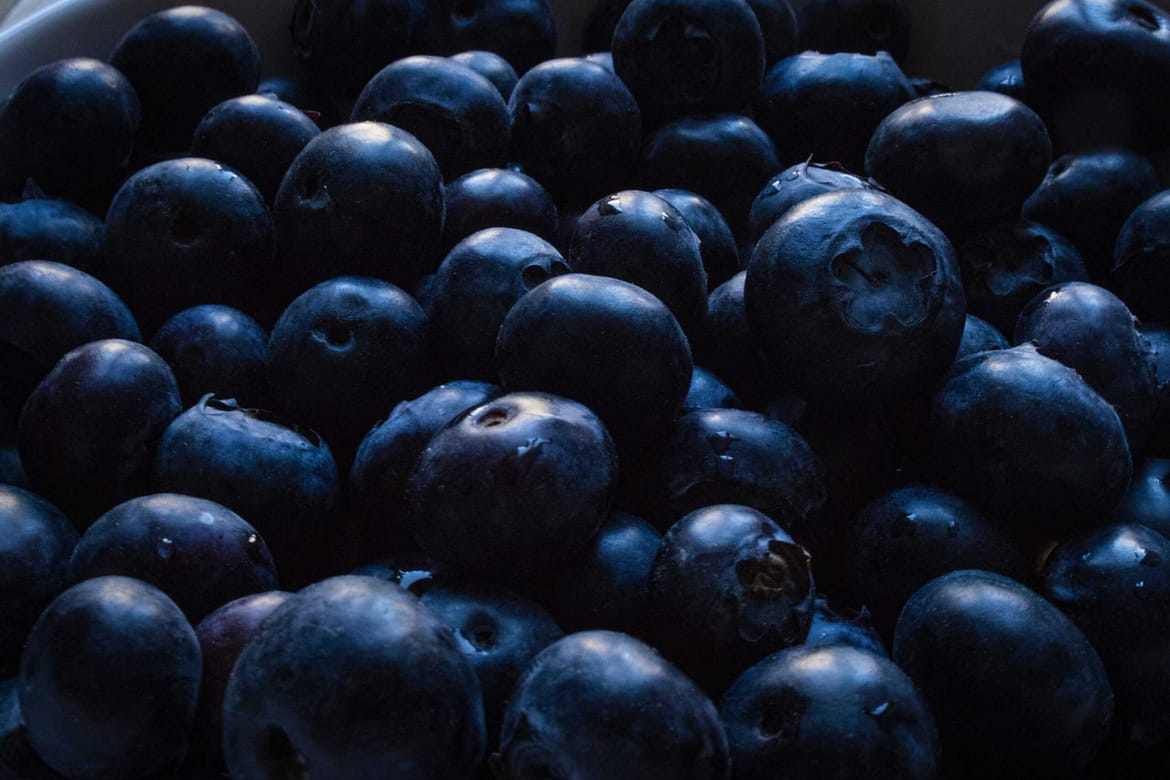 Die-gesundheitlichen-Vorteile-von-Waldheidelbeeren