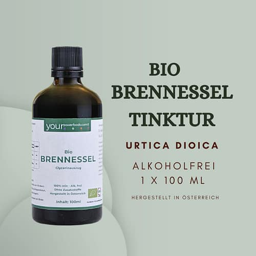 Brennessel 04