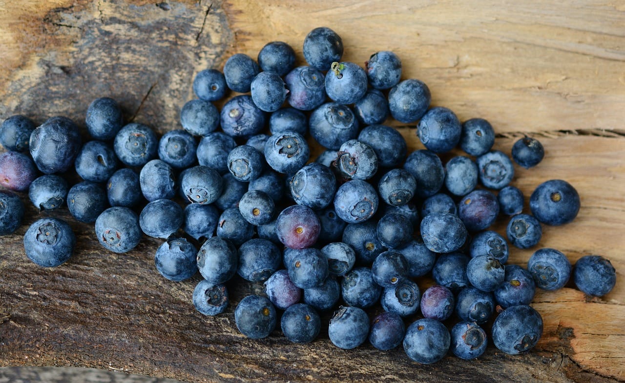 Waldheidelbeeren und ihre heilenden Eigenschaften Ein natürlicher Gesundheitsbooster