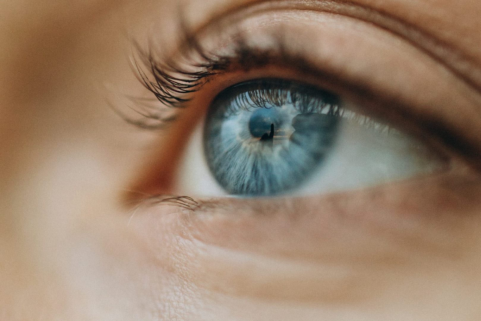 Waldheidelbeeren und Augengesundheit Natürliche Hilfe für deine Augen