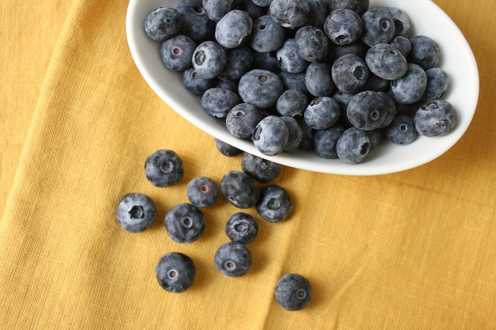 Waldheidelbeeren und ihre Auswirkungen auf unsere Gesundheit