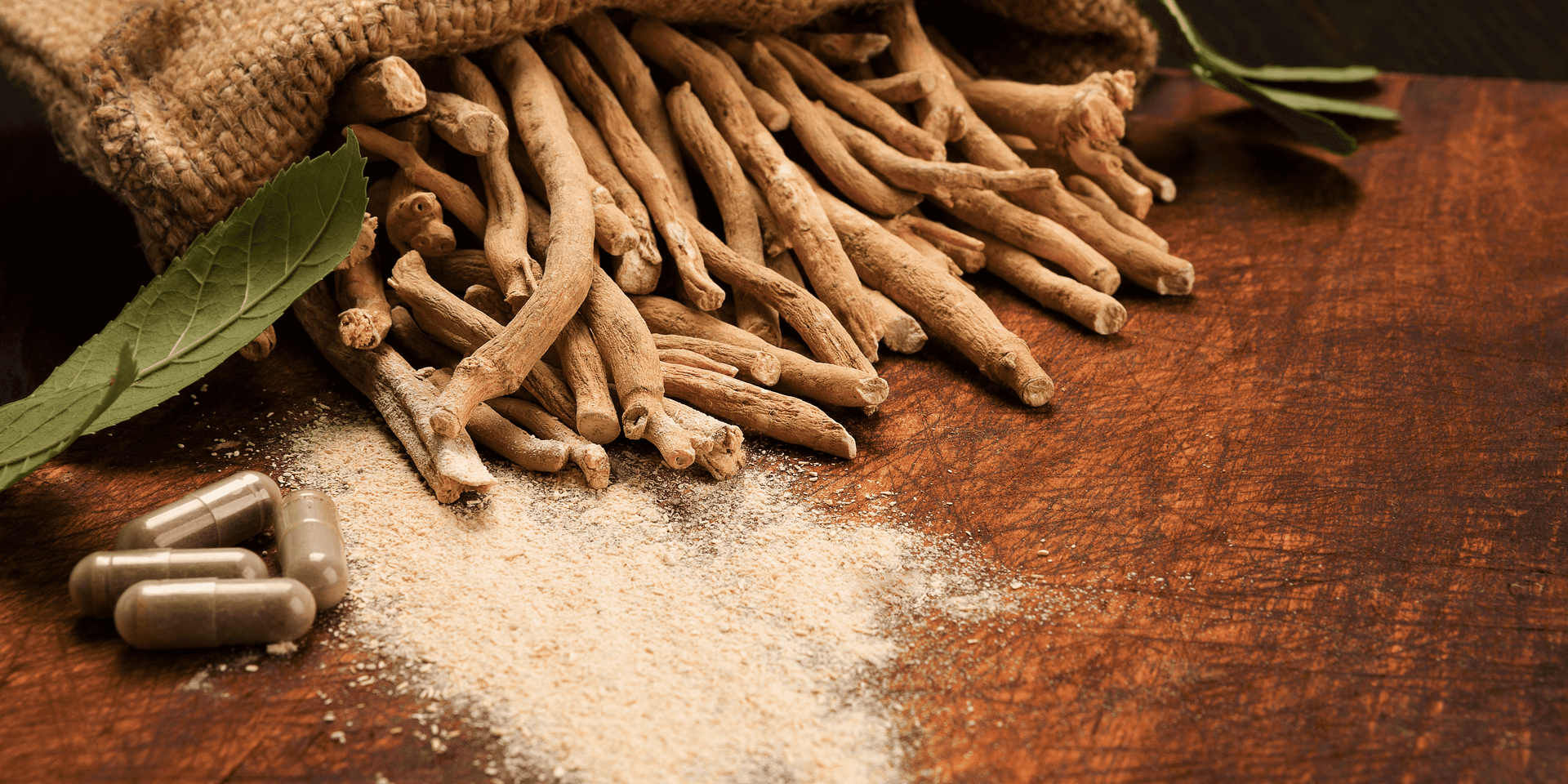 Die Verbindung zwischen Ashwagandha und dem Immunsystem Stärkung der Abwehrkräfte