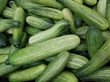 Komkommer als bron van spermidine Hoeveel van de wonderstof zit er echt in