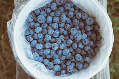 Waldheidelbeeren und ihre Bedeutung für die Haargesundheit