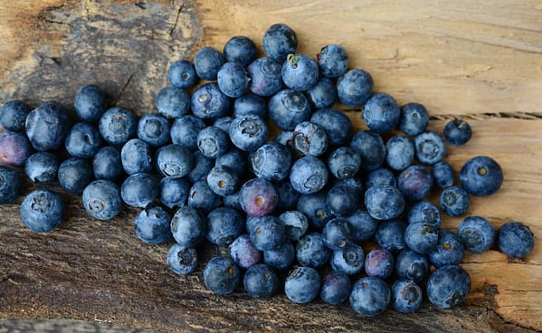 Waldheidelbeeren und ihre Wirkung auf die Verdauung Natürliche Unterstützung für dein Magen-Darm-System