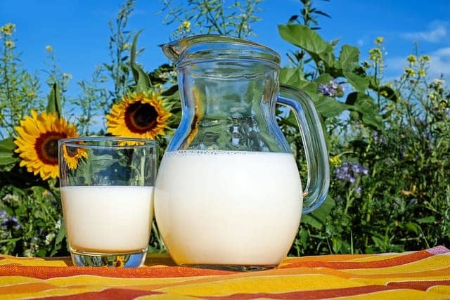 Wie viel Spermidin findest du in Milchprodukten?