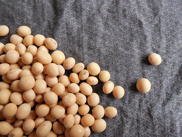 Sojabönor - en naturlig källa till spermidin